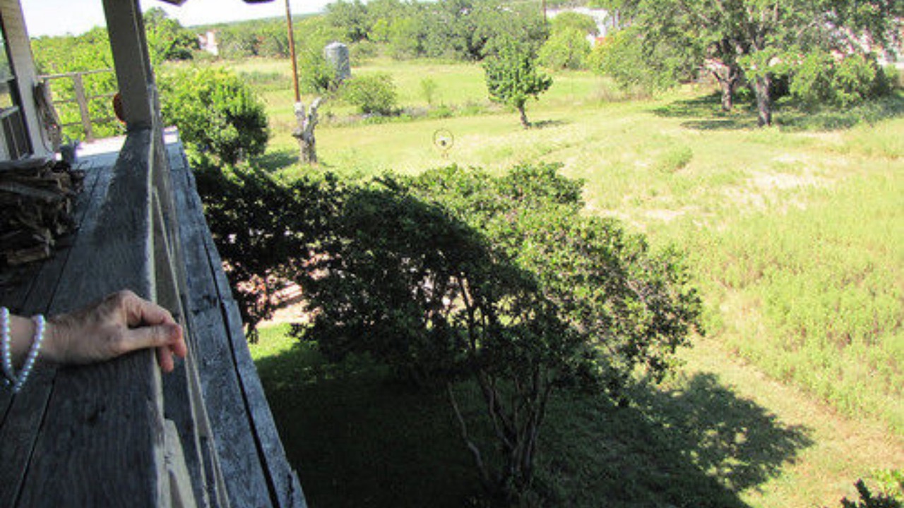 Photo of Outdoor in Mason