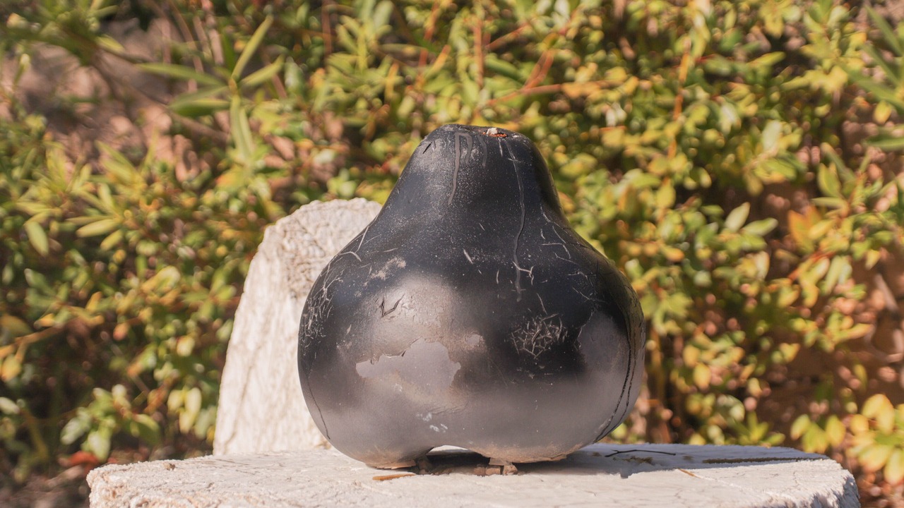 Photo of Outdoor in Saint-Paul-de-Vence