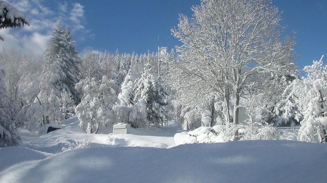 Photo of Others in Saint-Cirgues-en-Montagne