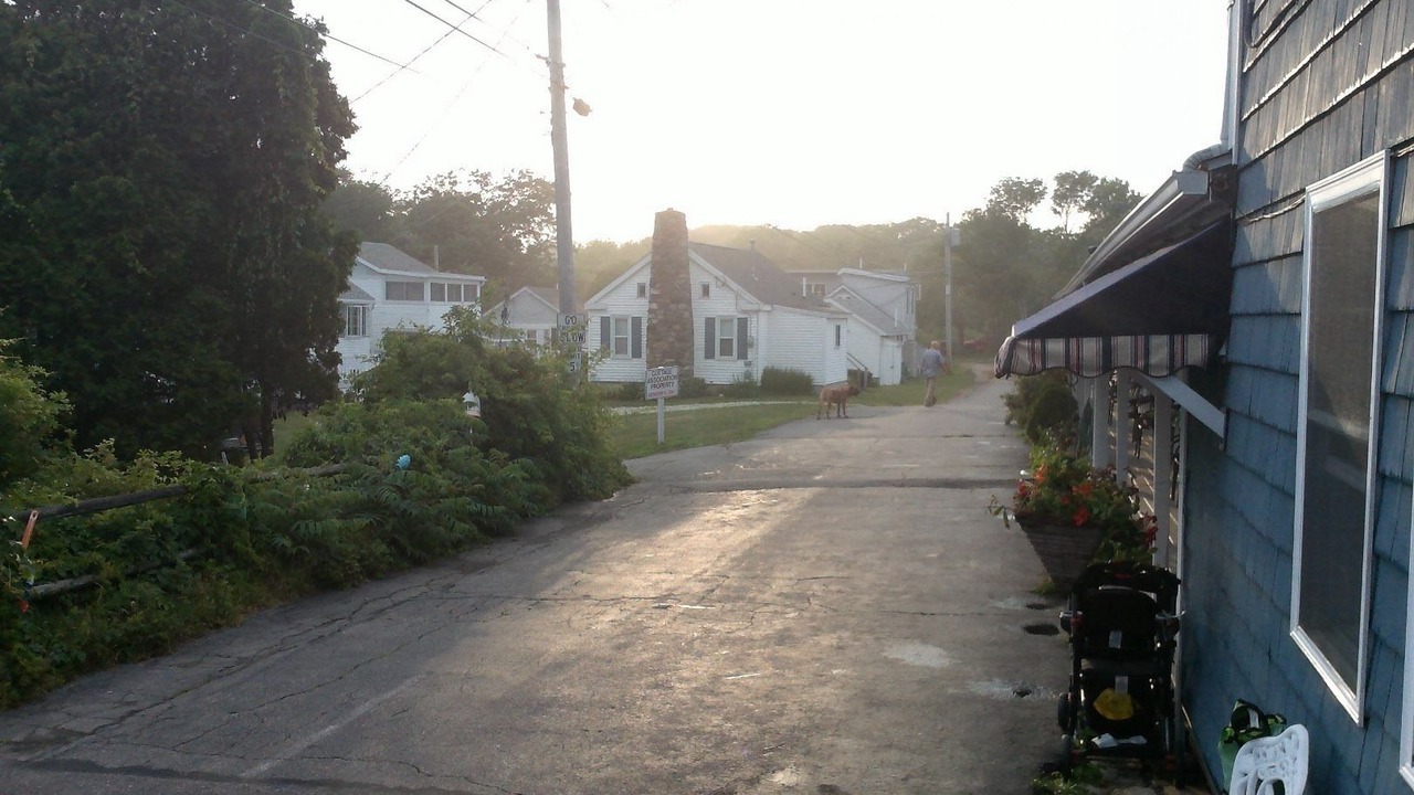 Photo of Outdoor in York Beach