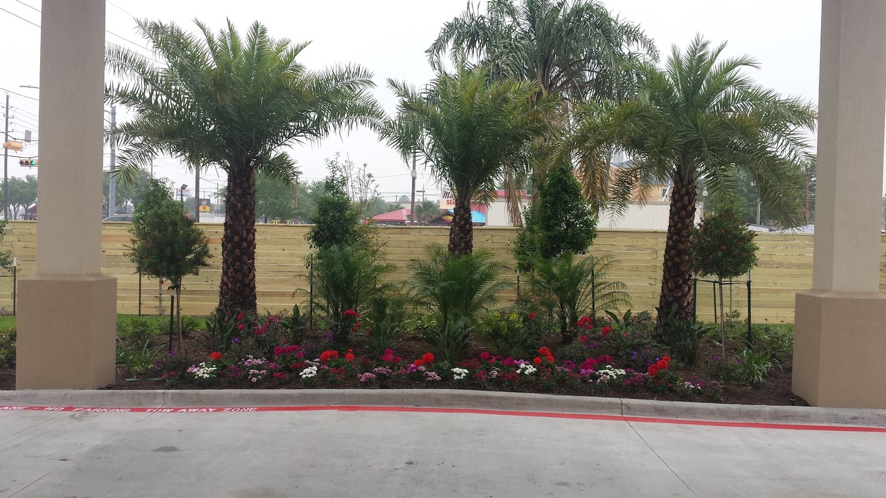 Photo of Outdoor in Jersey Village