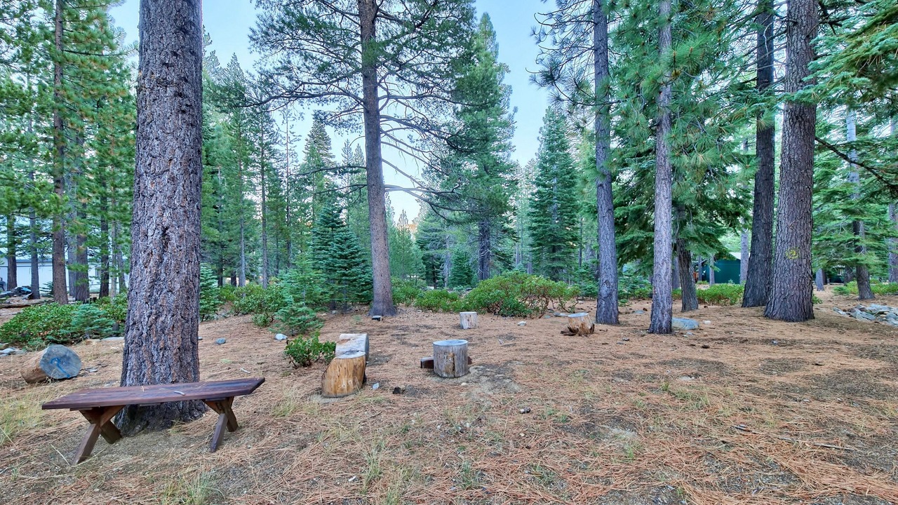 Photo of Others in North Upper Truckee