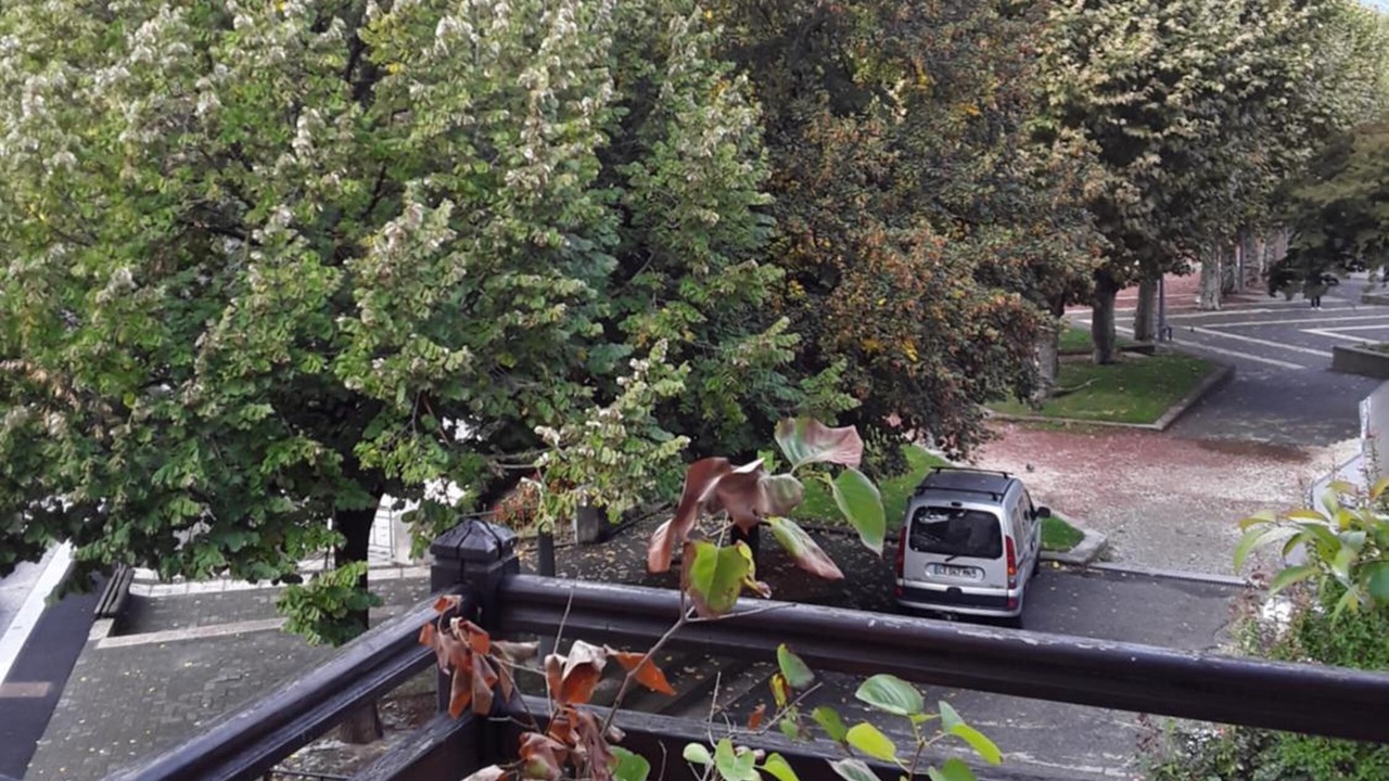 Photo of Patio Balcony in Domene
