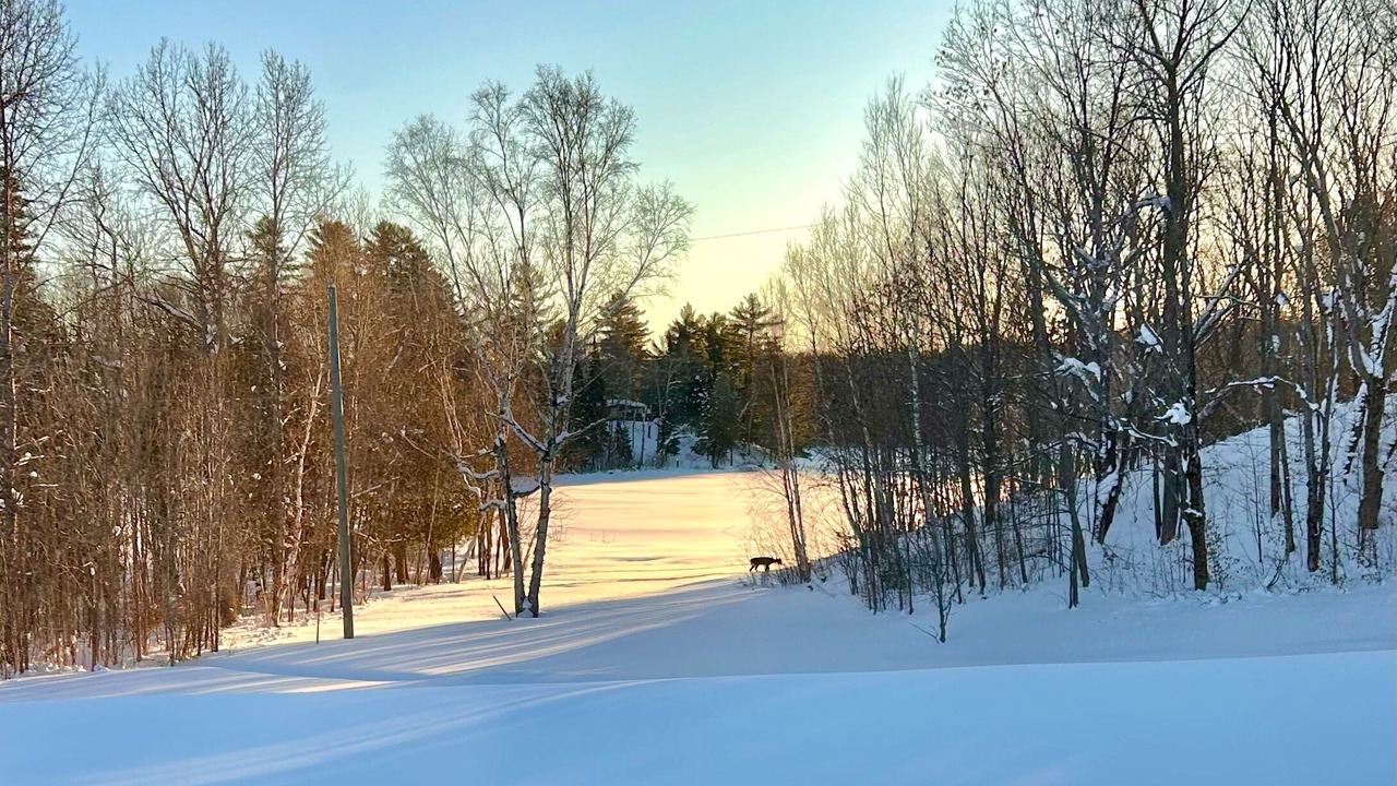 Photo of Outdoor in Magnetawan