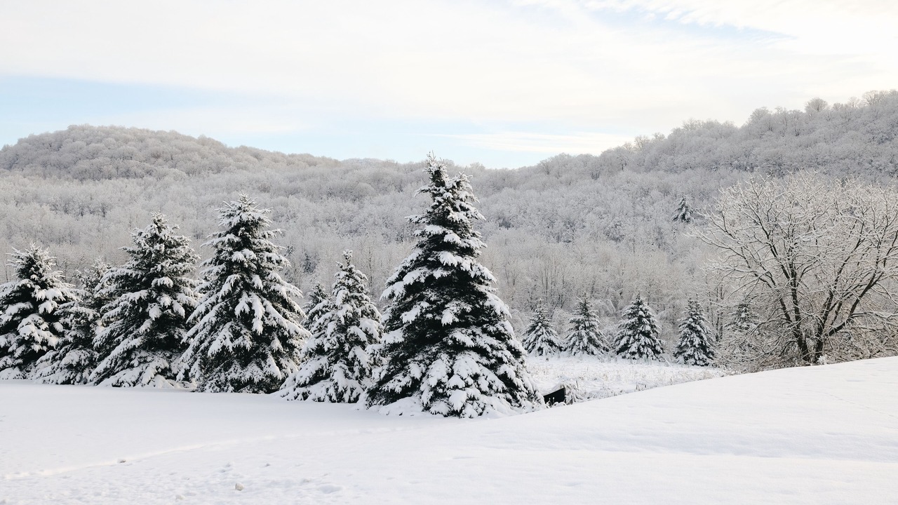 Photo of Outdoor in Bromont