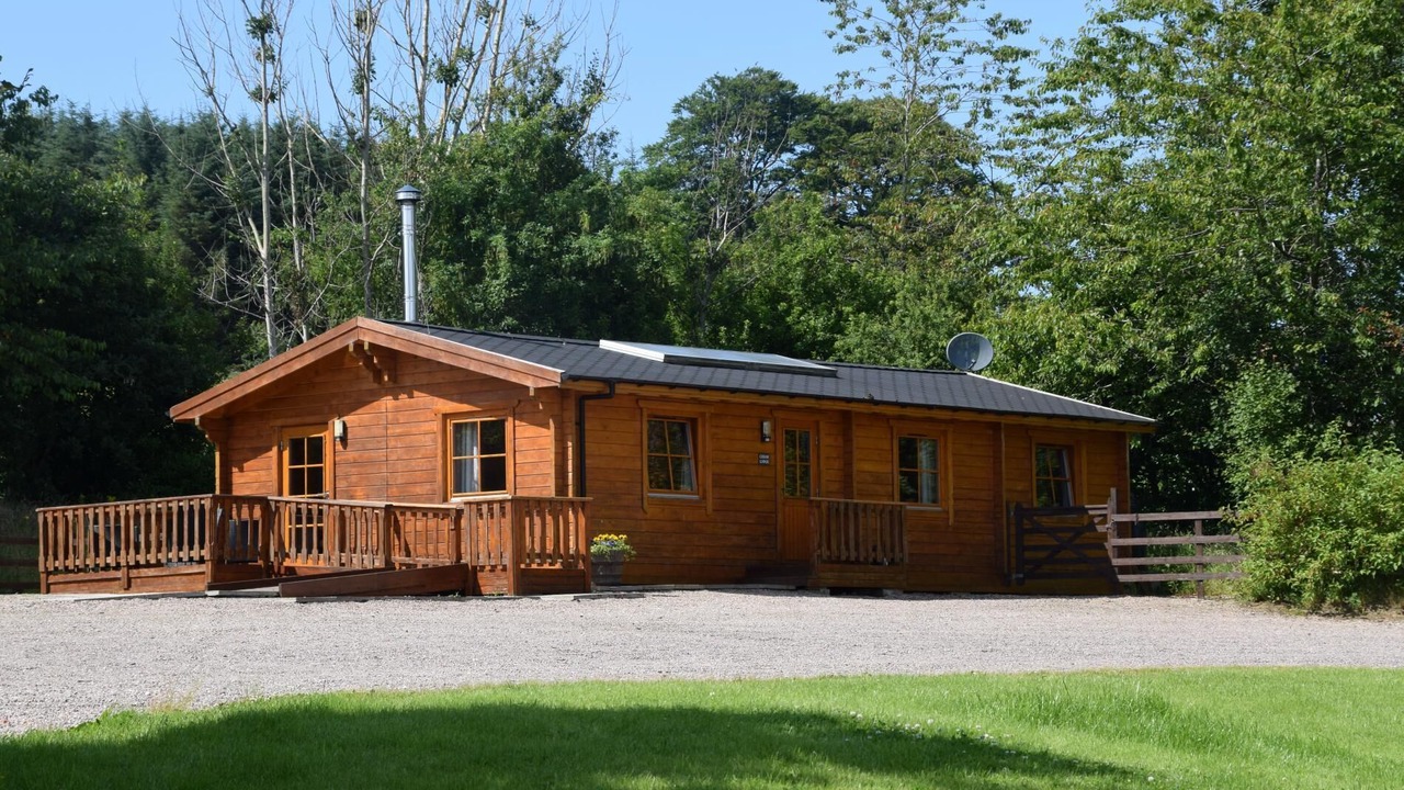 Photo of Others in Old Deer