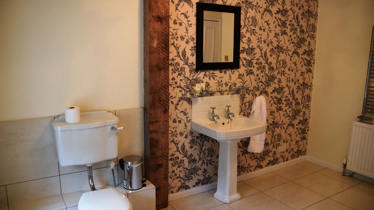 Photo of Others in Old Deer