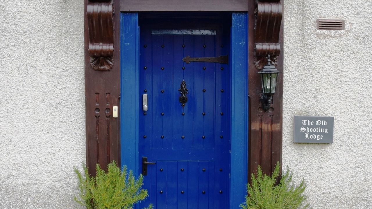 Photo of Others in Old Deer