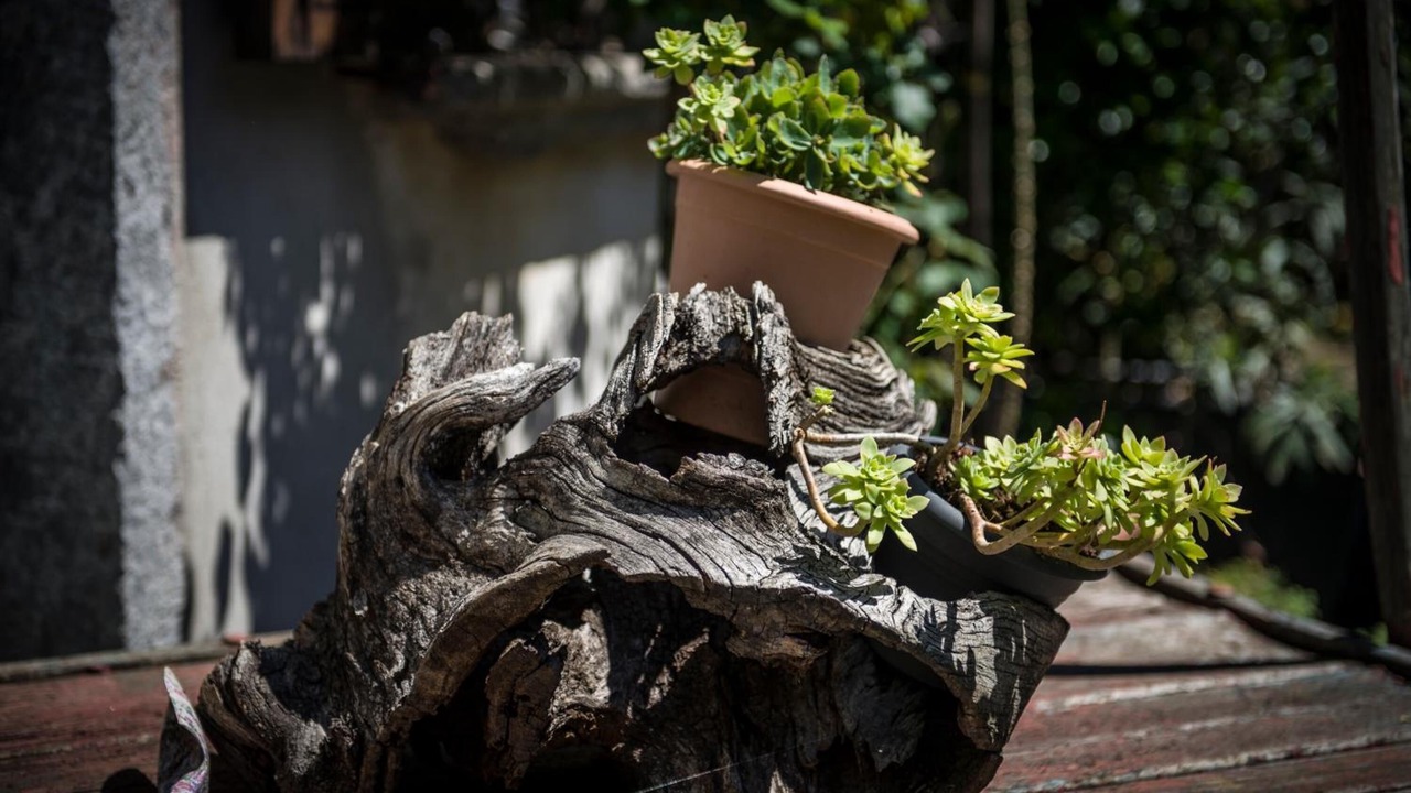 Photo of Outdoor in Tegna