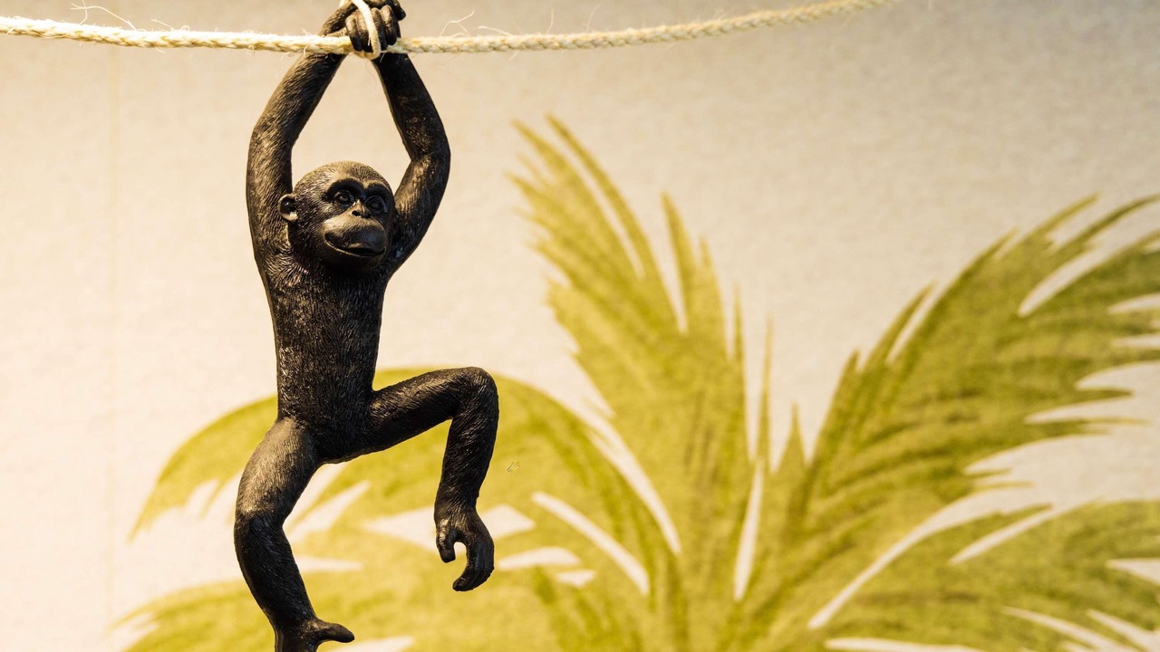 Photo of Outdoor in Vanves