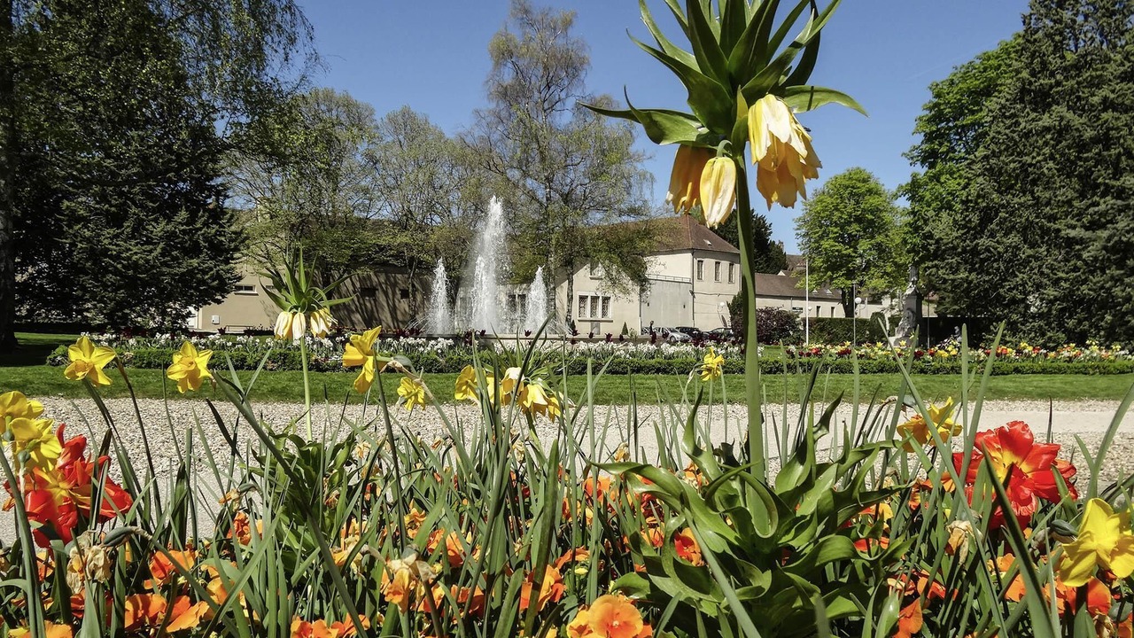 Photo of Others in Nuits-Saint-Georges