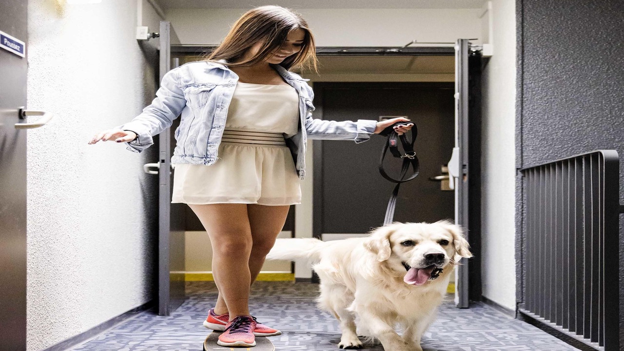 Photo of Outdoor in Perpignan