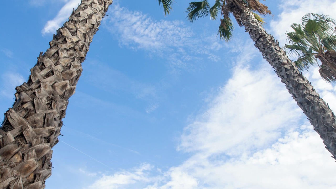 Photo of Outdoor in Saint-Cyr-sur-Mer