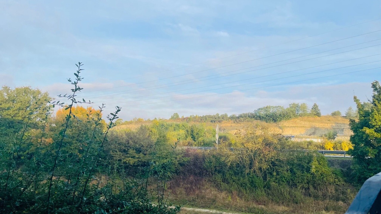 Photo of Outdoor in Champniers