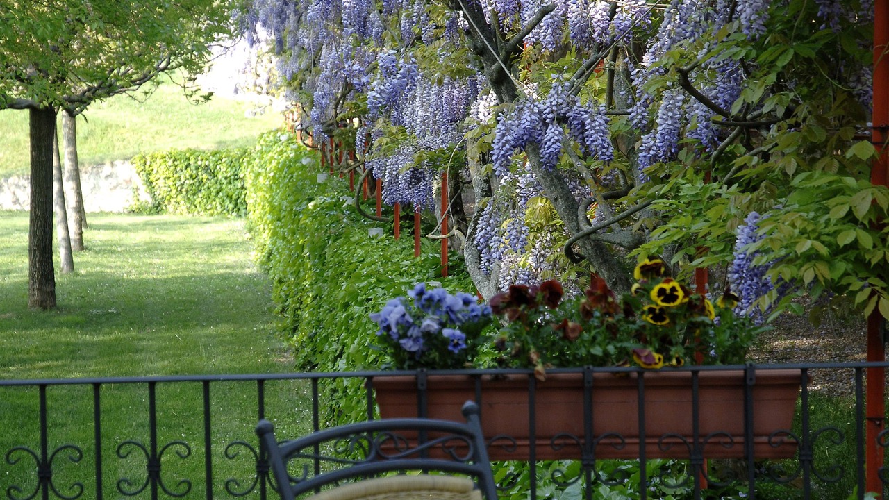 Photo of Outdoor in Peramola