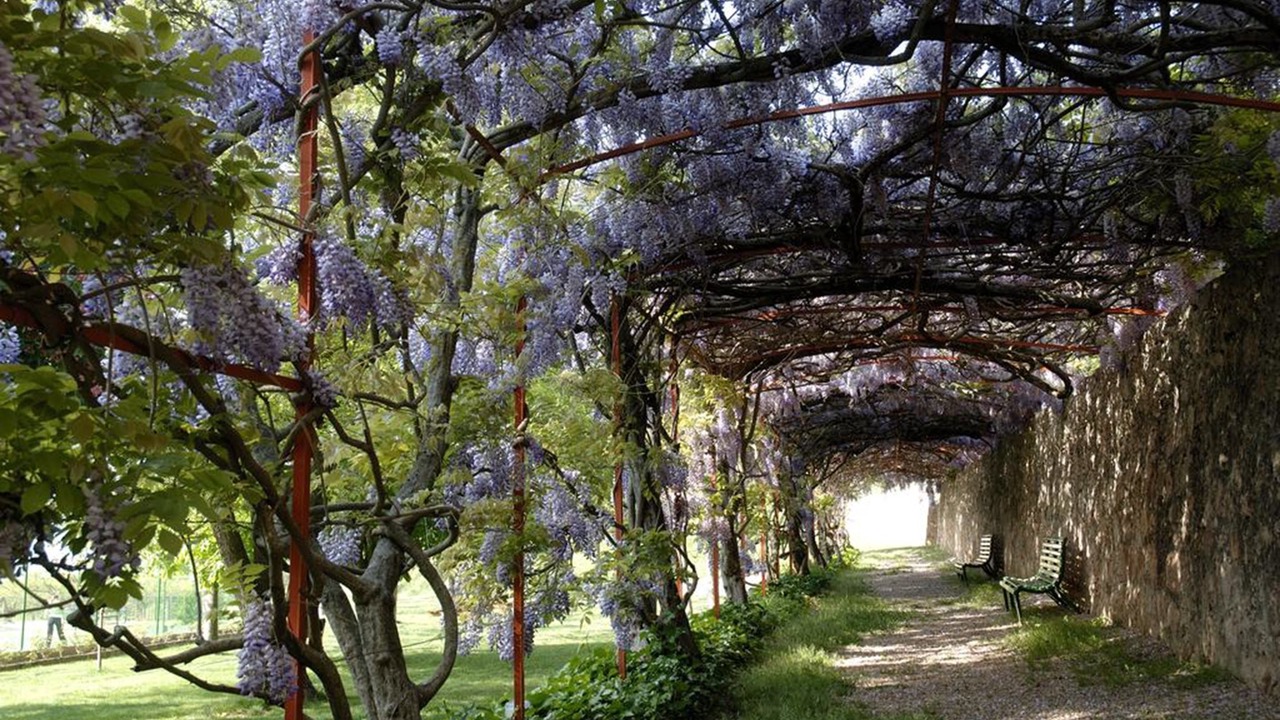 Photo of Outdoor in Peramola