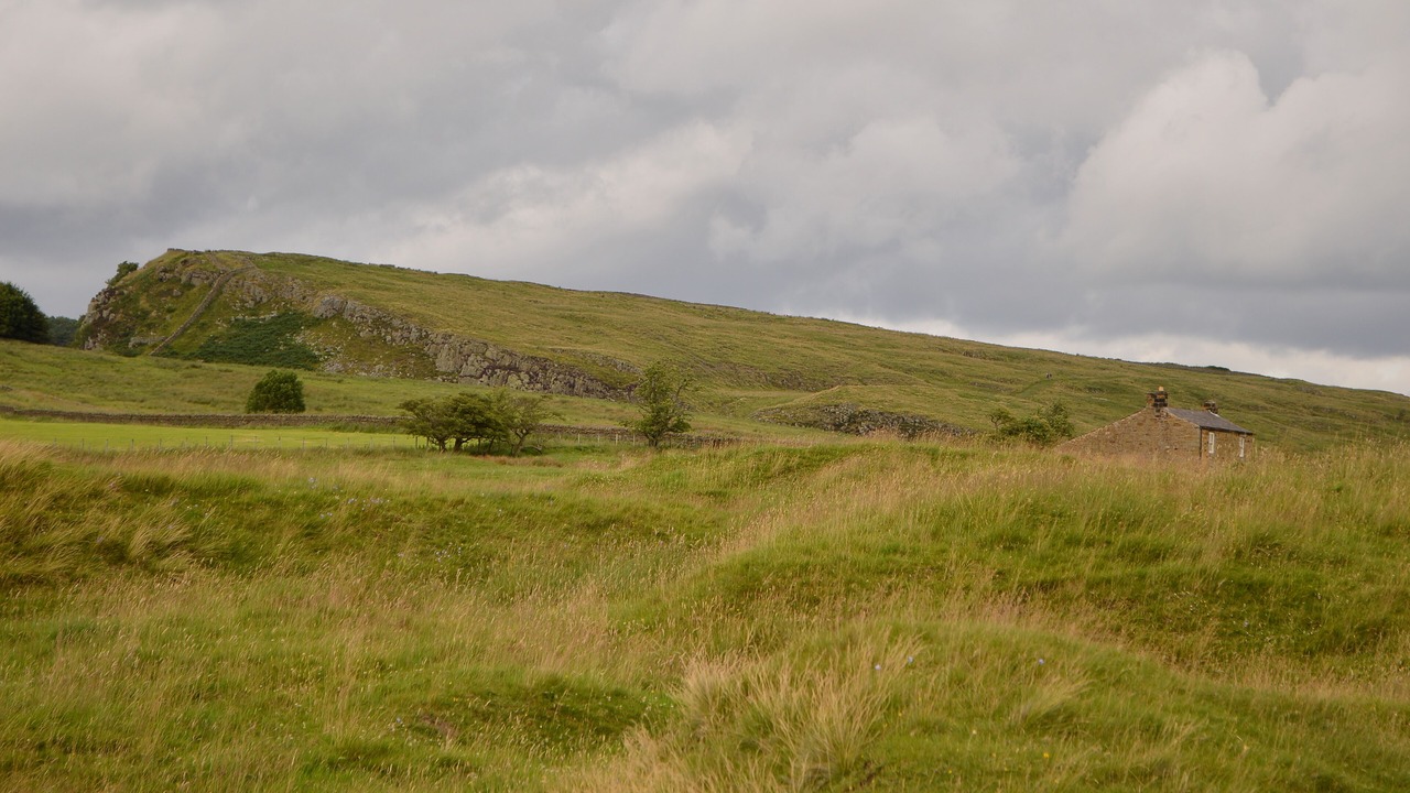 Photo of Others in Twice Brewed