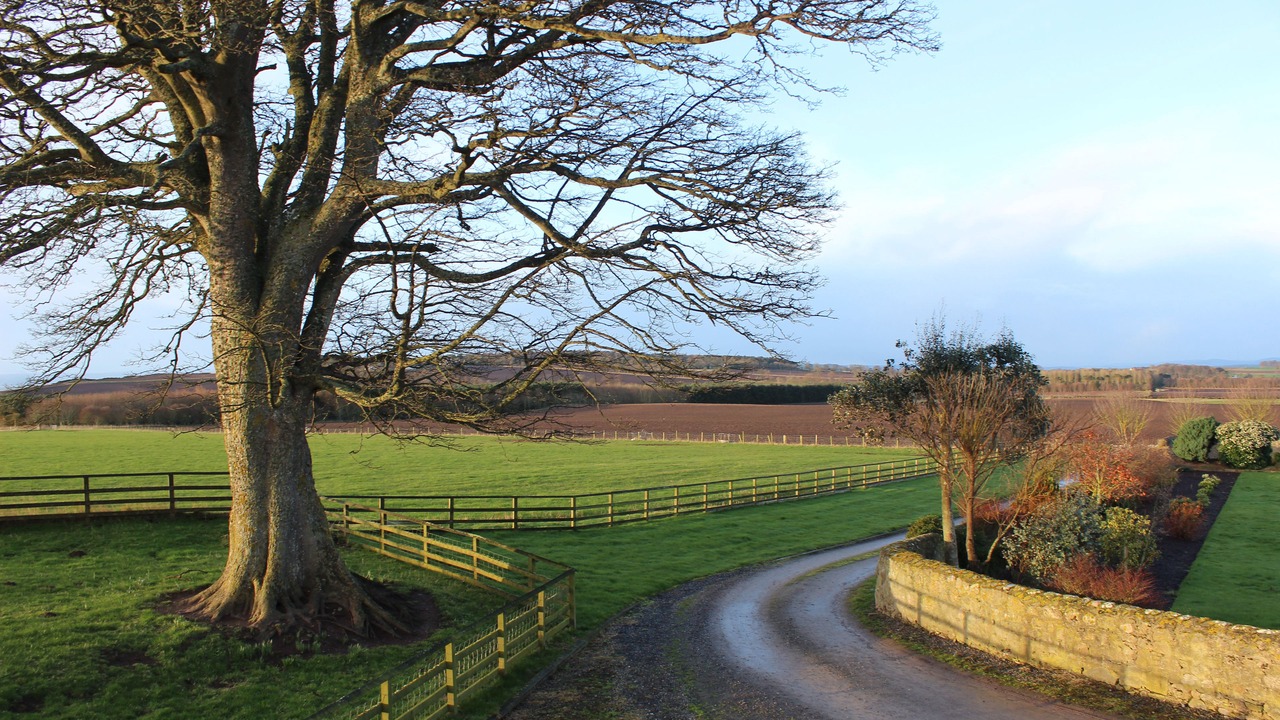Photo of Outdoor in Portmahomack
