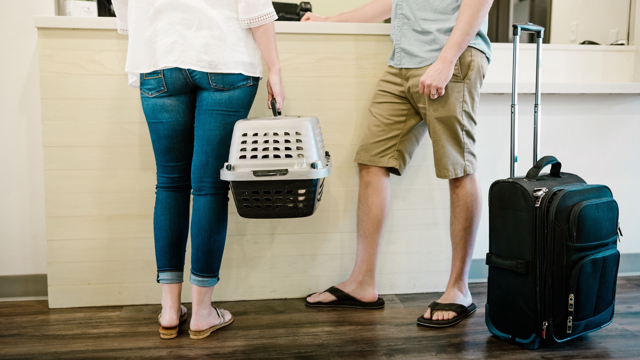 Photo of Others in East Texas