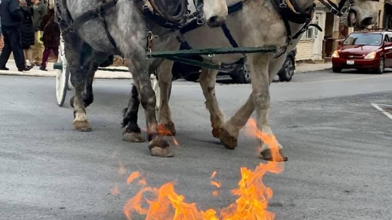 Photo of Outdoor in Ashfield