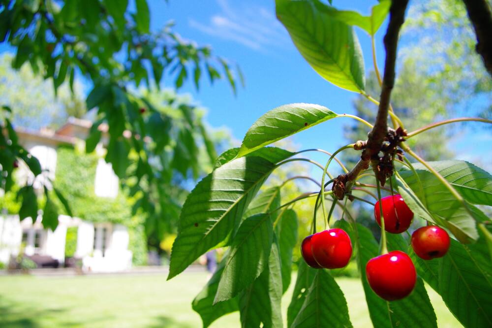 Photo of Outdoor in Saint-Jean-dAigues-Vives
