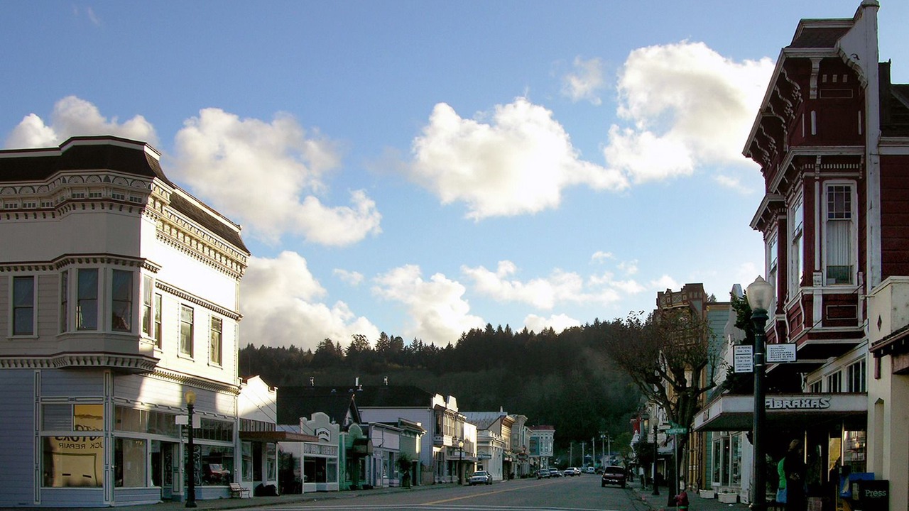 Photo of Others in Ferndale Main Street Historic District