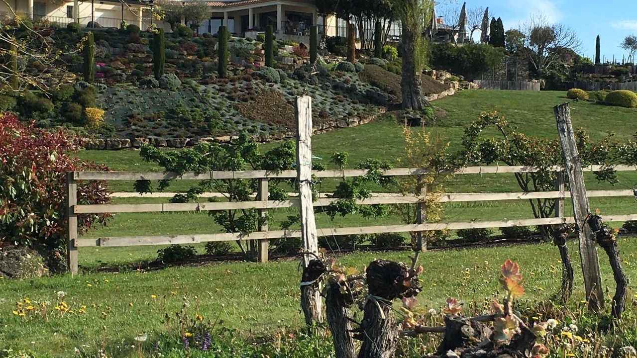 Photo of Outdoor in Lussac