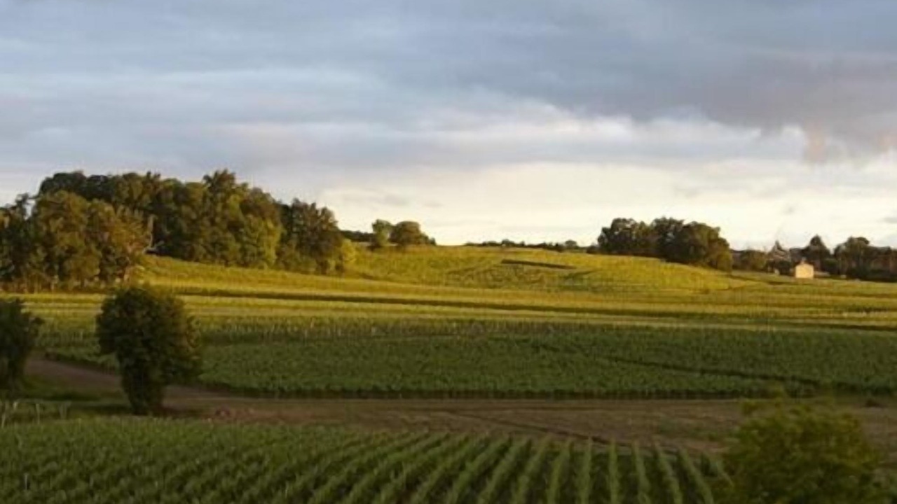 Photo of Others in Lussac