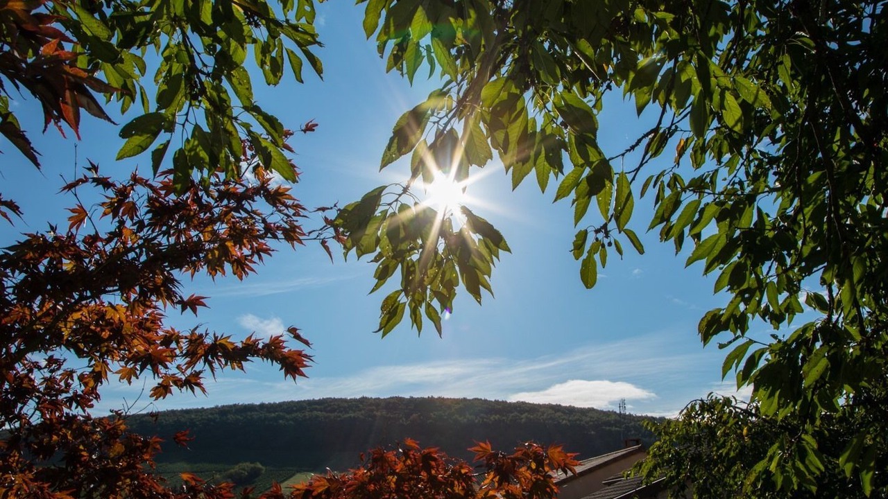 Photo of Outdoor in Aze