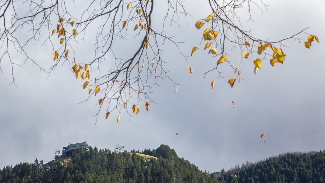 Photo of Others in Queenstown City Centre