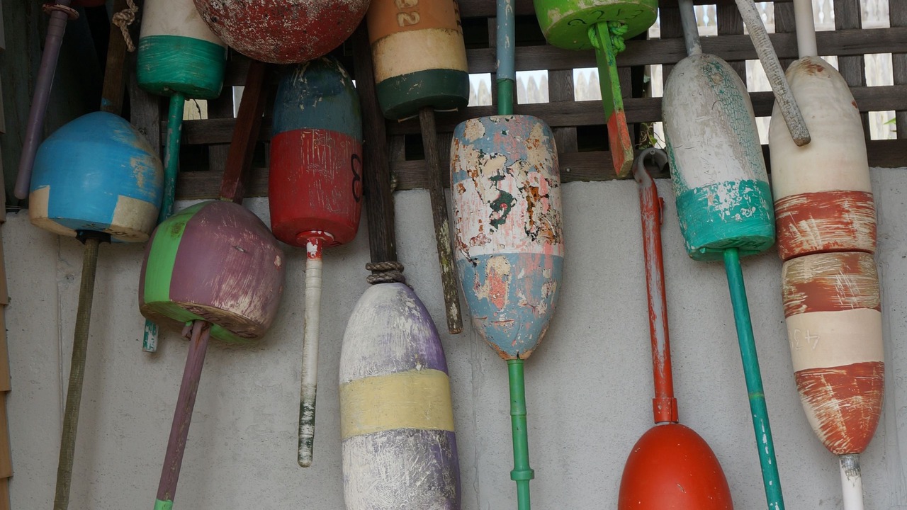 Photo of Others in South Chatham