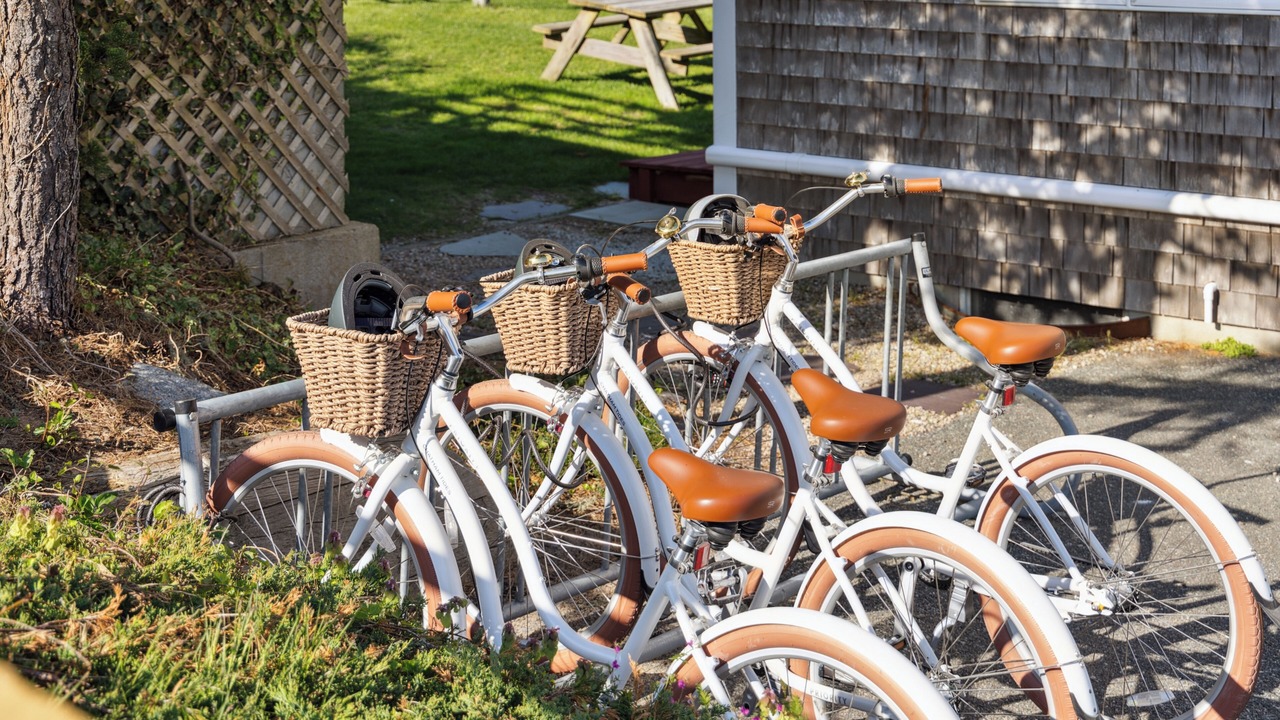 Photo of Outdoor in South Chatham