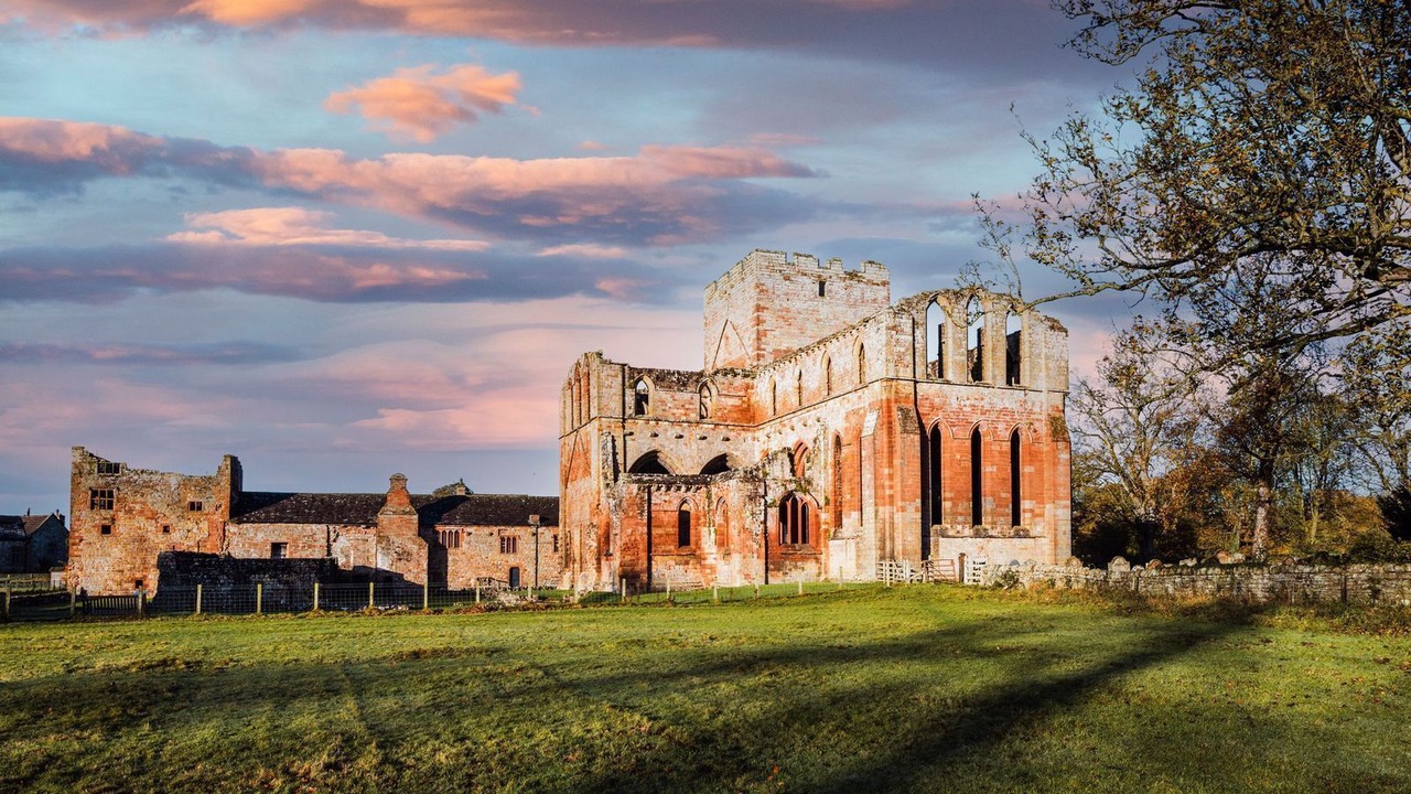 Photo of Others in Wing