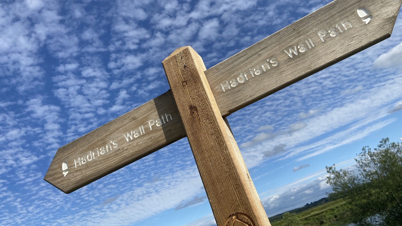 Photo of Outdoor in Wing