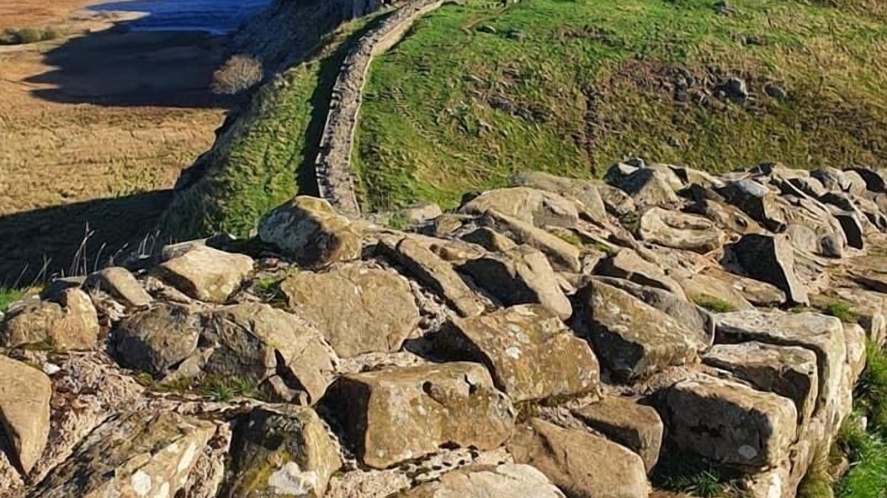 Photo of Others in Wing