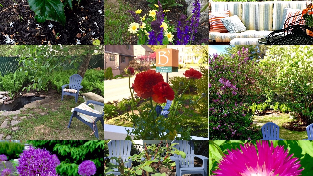 Photo of Outdoor in Ogunquit