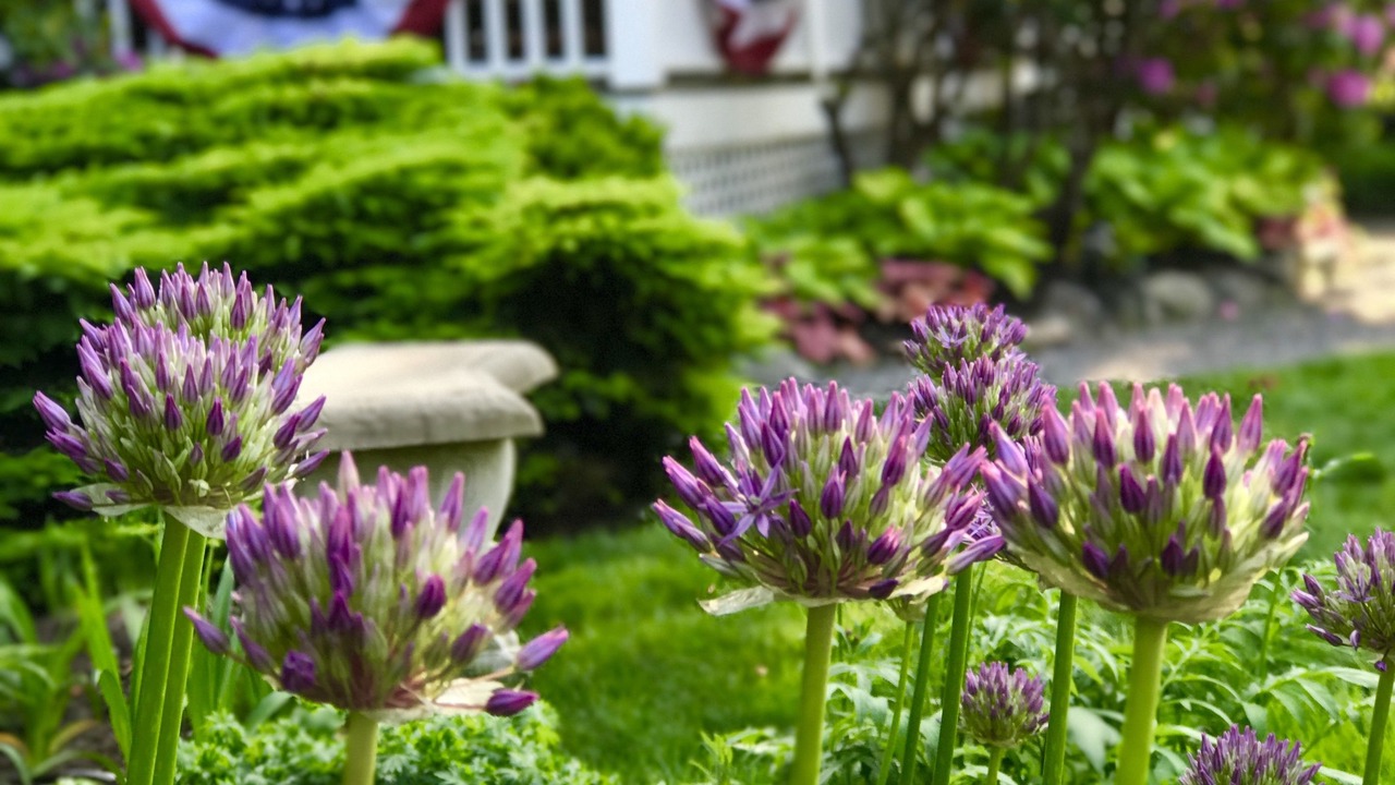 Photo of Outdoor in Ogunquit