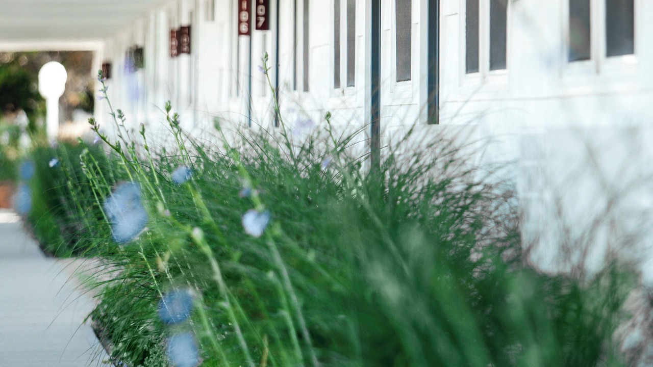 Photo of Outdoor in Greenport