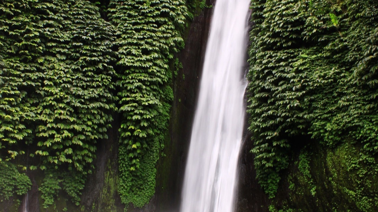 Photo of Outdoor in Munduk