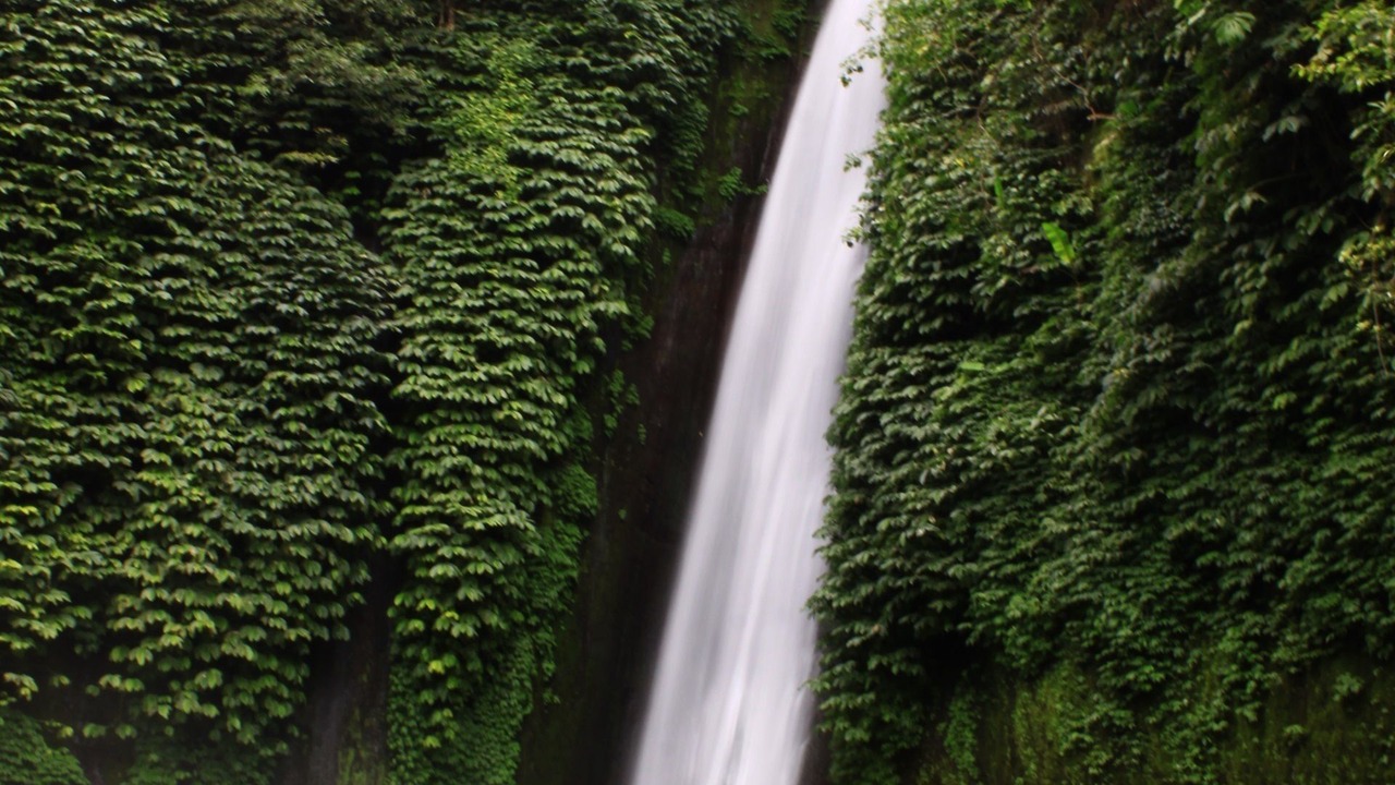 Photo of Outdoor in Munduk
