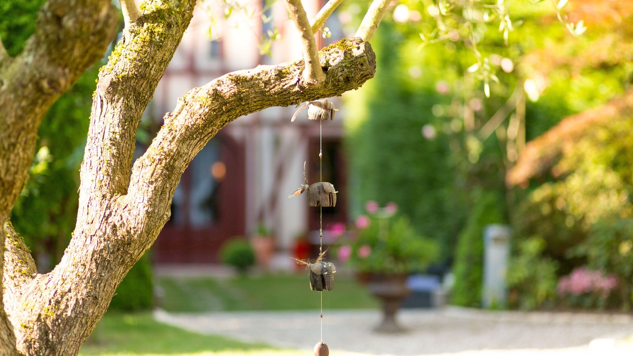 Photo of Outdoor in Amboise