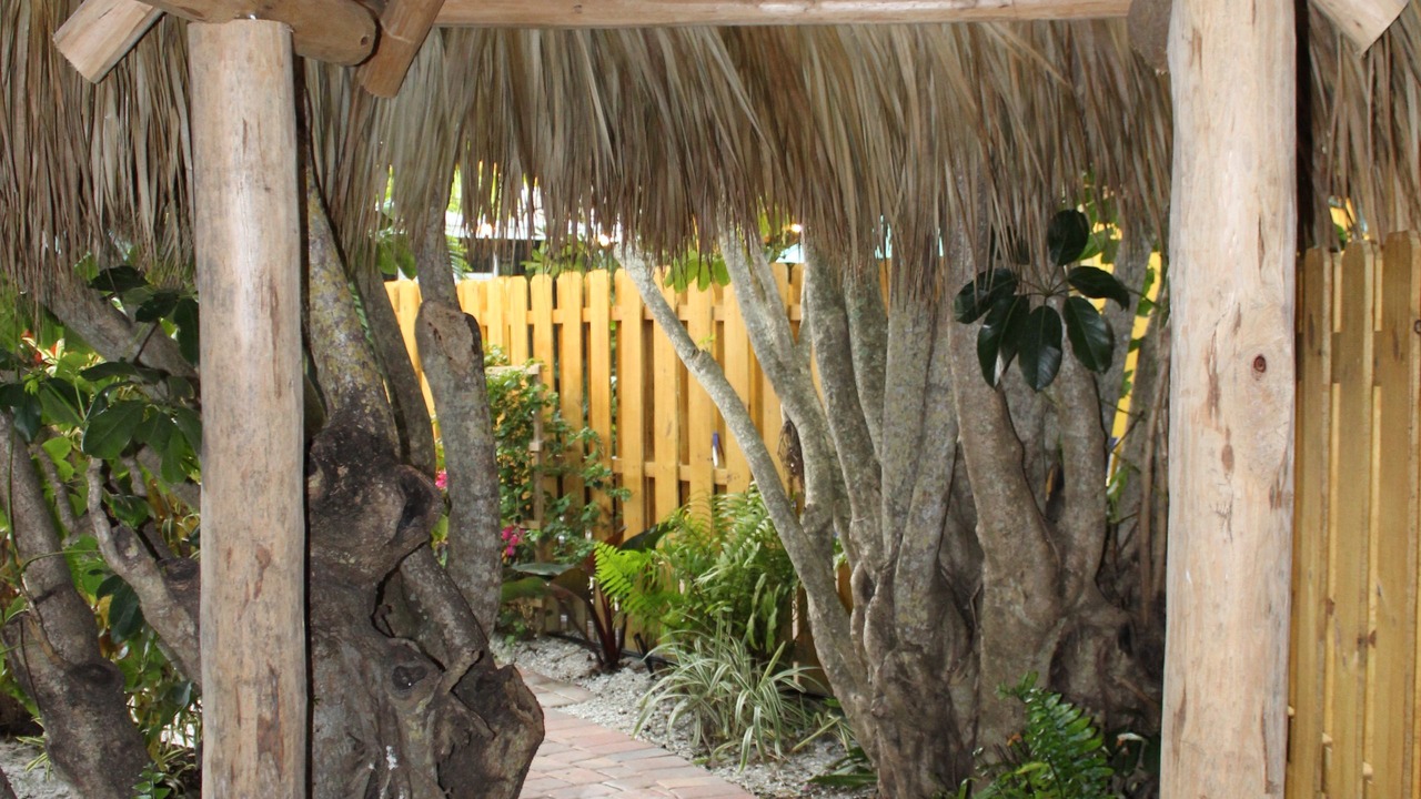 Photo of Outdoor in Sarasota