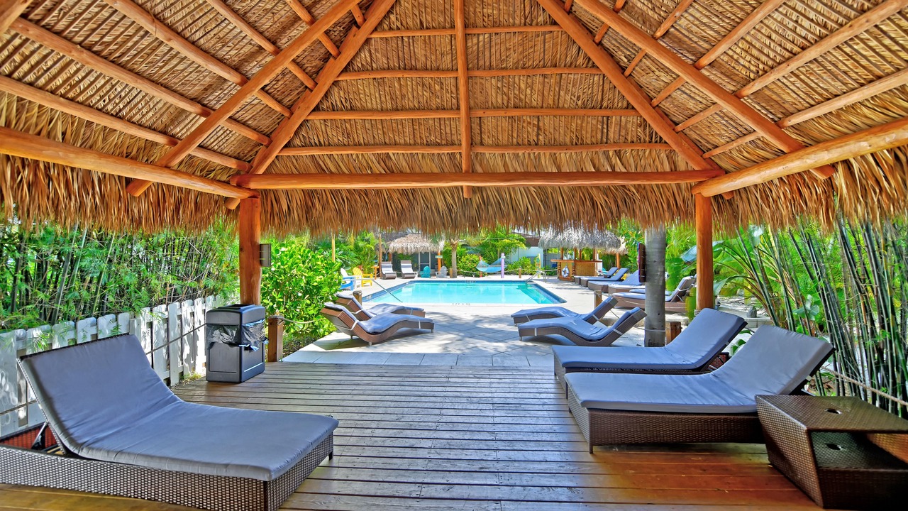 Photo of Outdoor in Sarasota