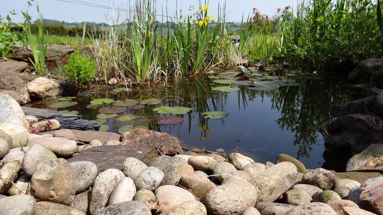 Photo of Others in Saint Blazey