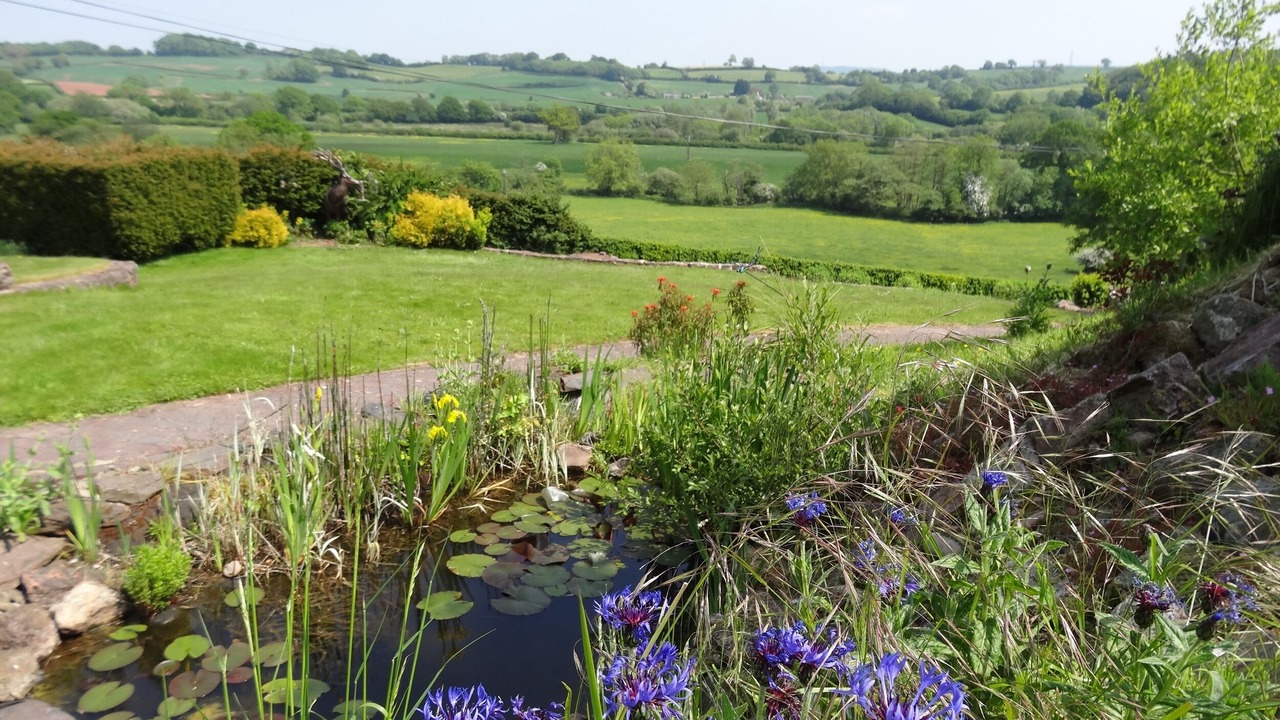 Photo of Others in Saint Blazey