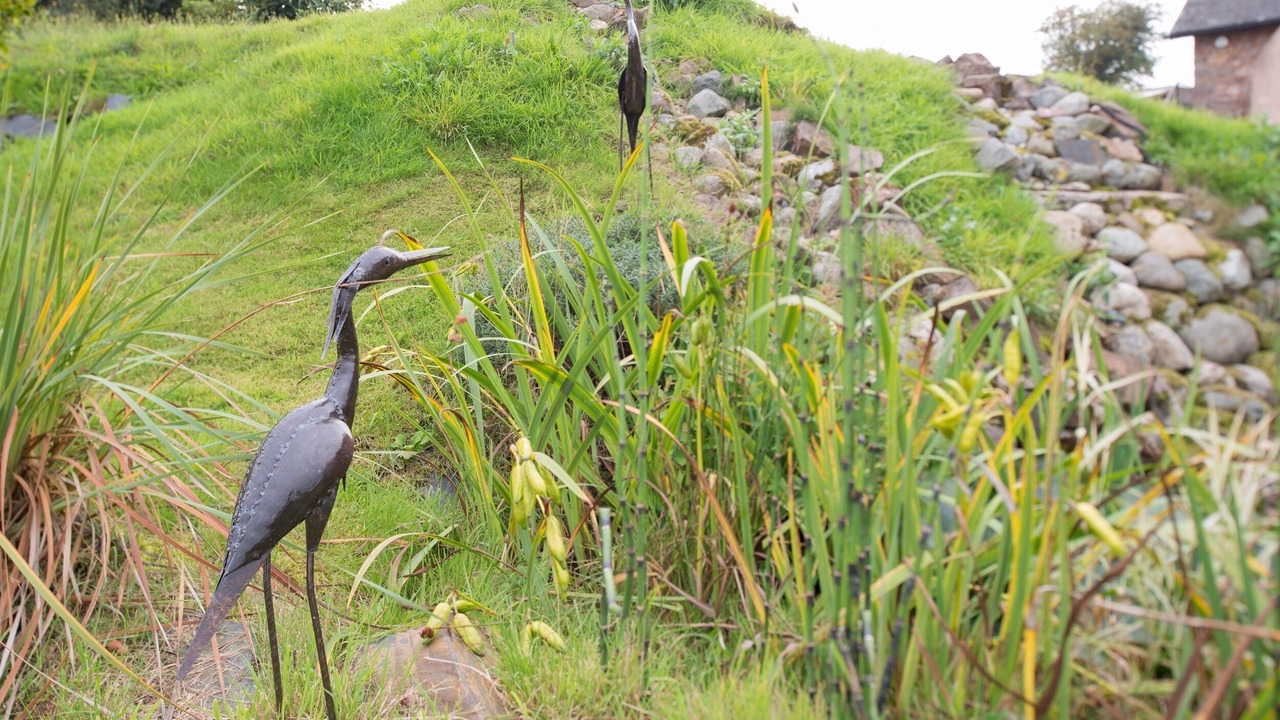 Photo of Others in Saint Blazey