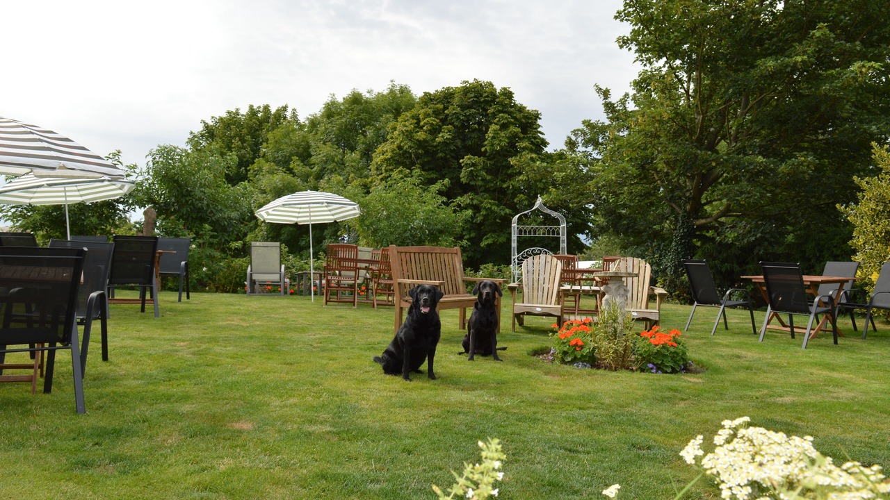 Photo of Others in Folkton