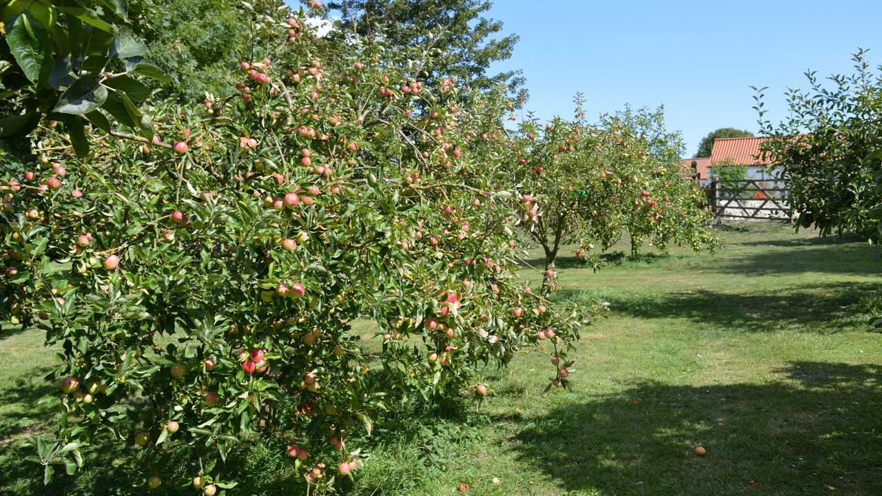 Photo of Outdoor in Folkton