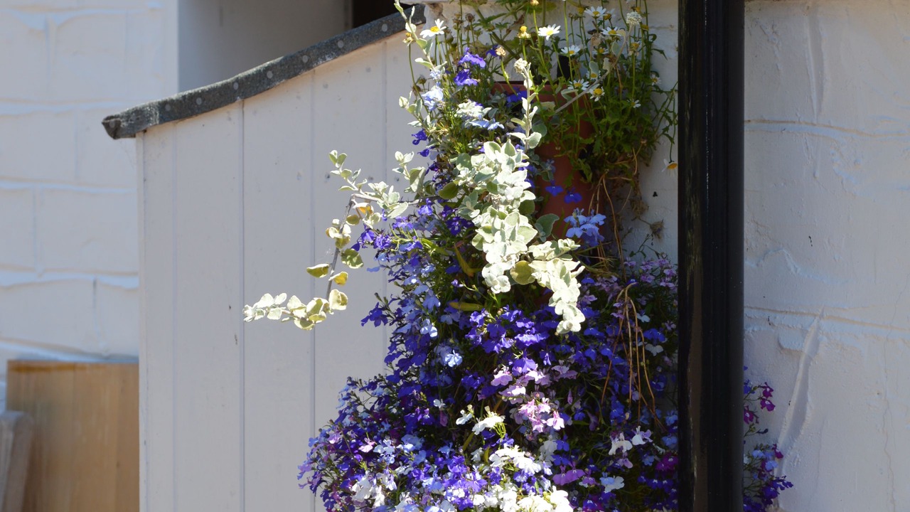 Photo of Outdoor in Folkton