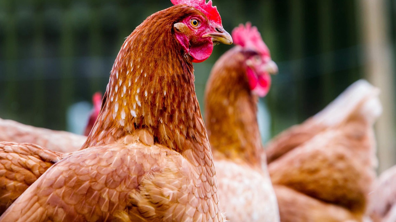 Photo of Outdoor in Folkton